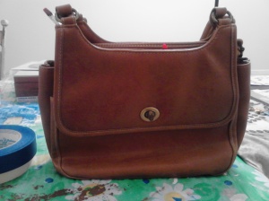 Goodwill purse